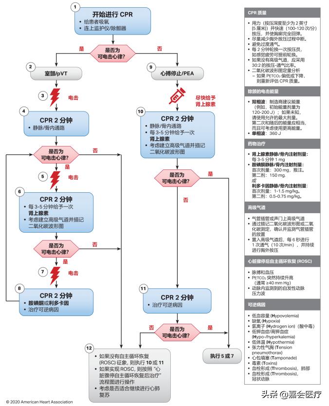 心肺复苏最新版，生命拯救的指南