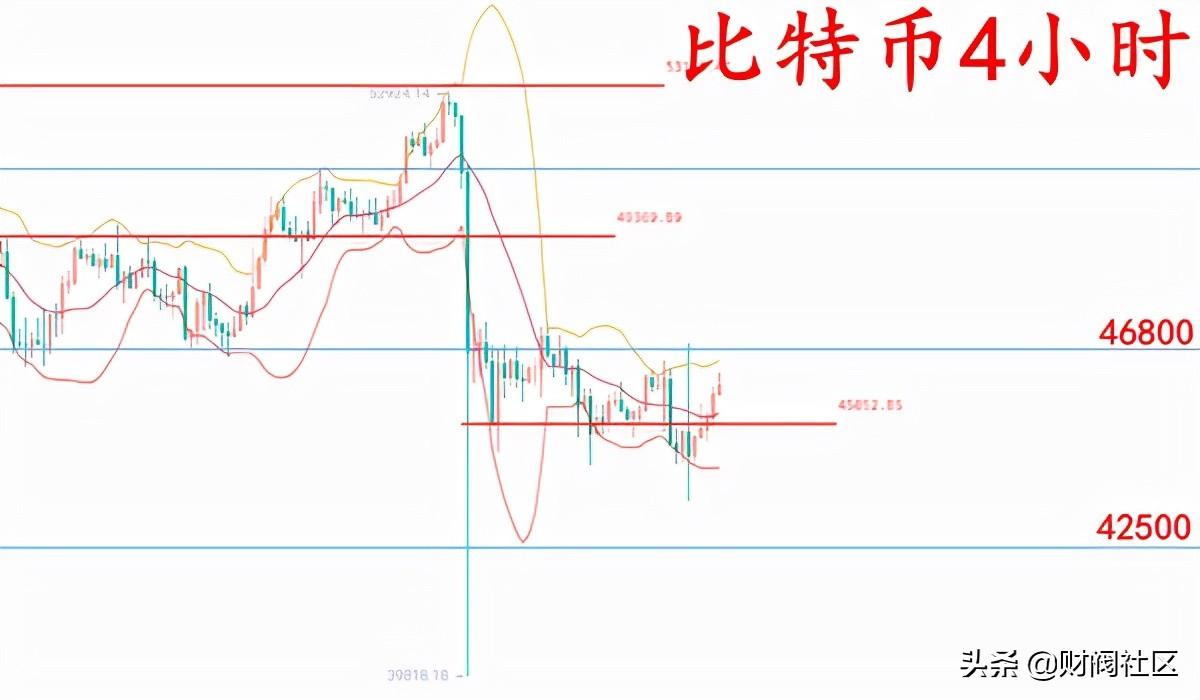 币圈最新动态，行业趋势、热点事件及未来展望综述