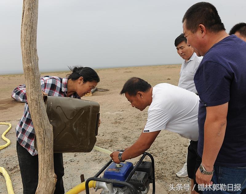 锡林浩特市人力资源和社会保障局最新招聘资讯概览