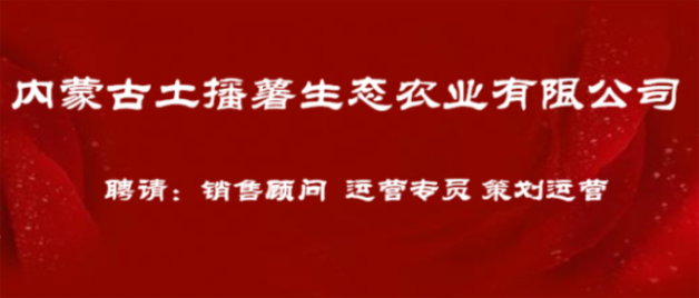 赤峰招聘网最新消息，打造人才招聘新高地