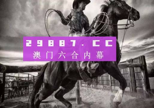 澳门330期资料查看一下,重要性解析方法_RemixOS88.964