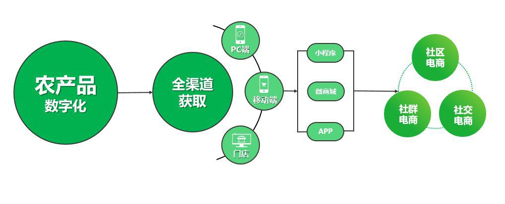 最新销售模式，重塑零售业格局的秘诀所在