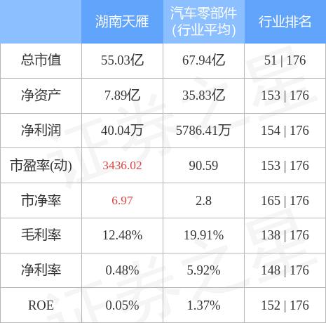 湖南天雁迈向新时代的蓬勃发展之路最新消息揭秘