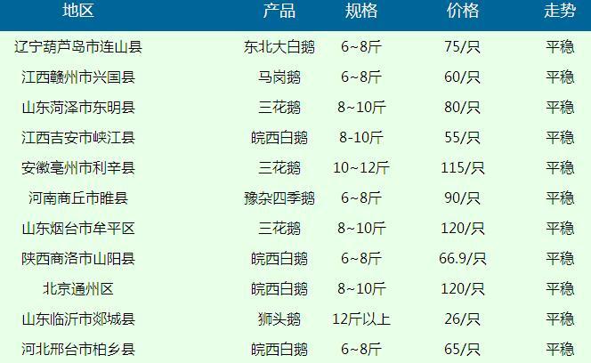 今日鹅价格行情分析与趋势预测