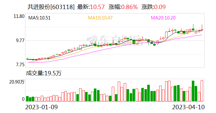 共进股份最新动态全面解读