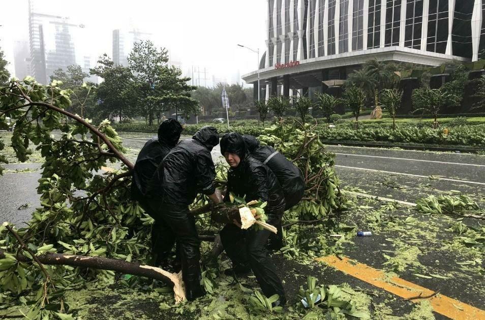 越南台风最新动态，影响及应对策略