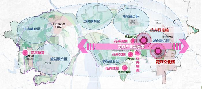 维扬区人力资源和社会保障局发展规划，构建人才强国，助力社会和谐与进步