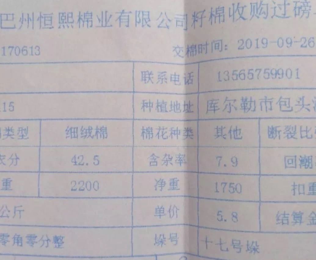 山东籽棉最新收购价格动态解析