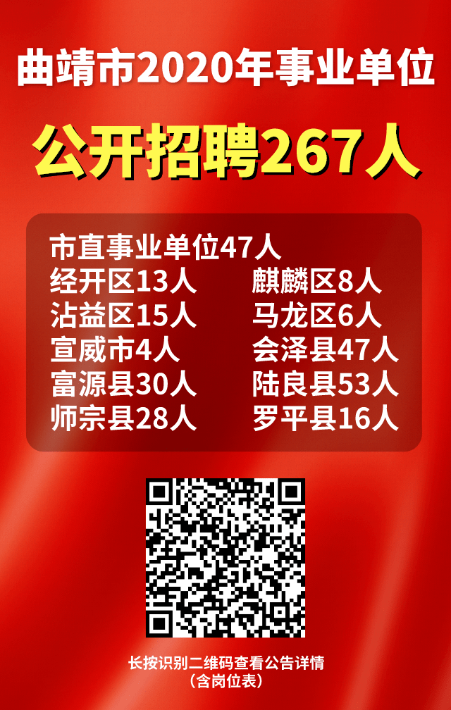 曲靖市邮政局最新招聘信息概览，职位、要求与申请指南