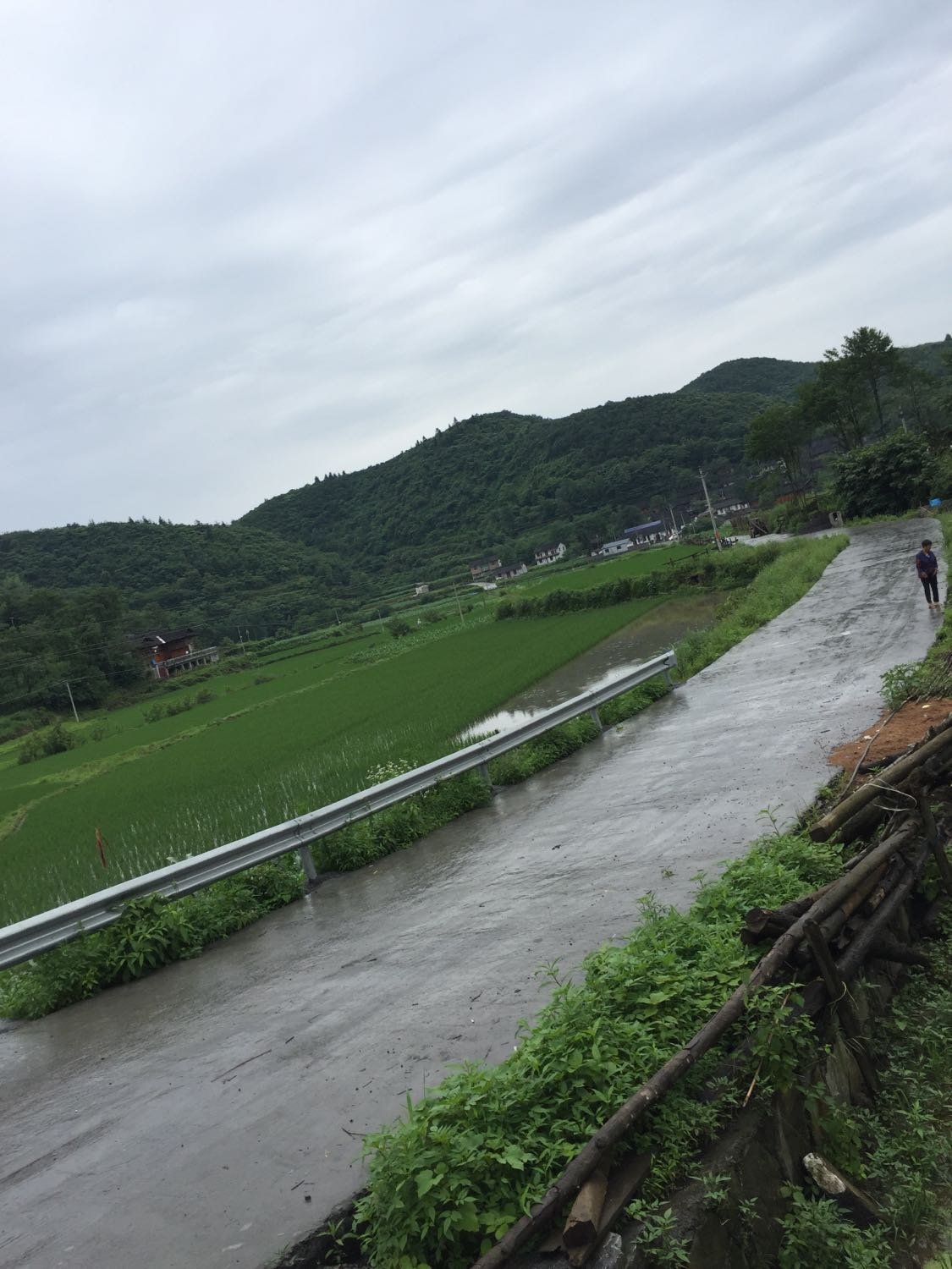 下水乡最新天气预报概览