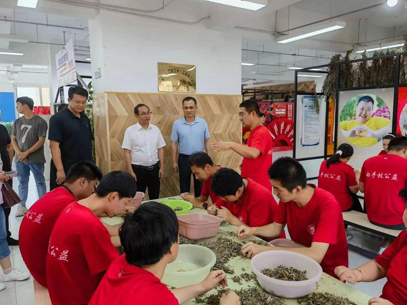 环翠区级托养福利事业单位最新项目，探索与前景展望