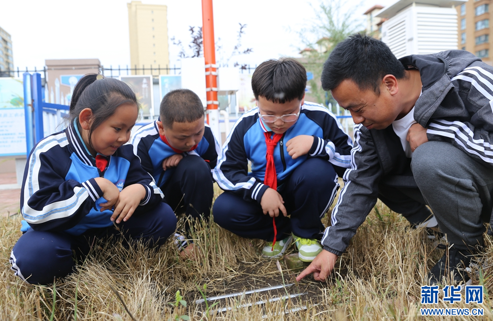 突泉县小学最新动态报道