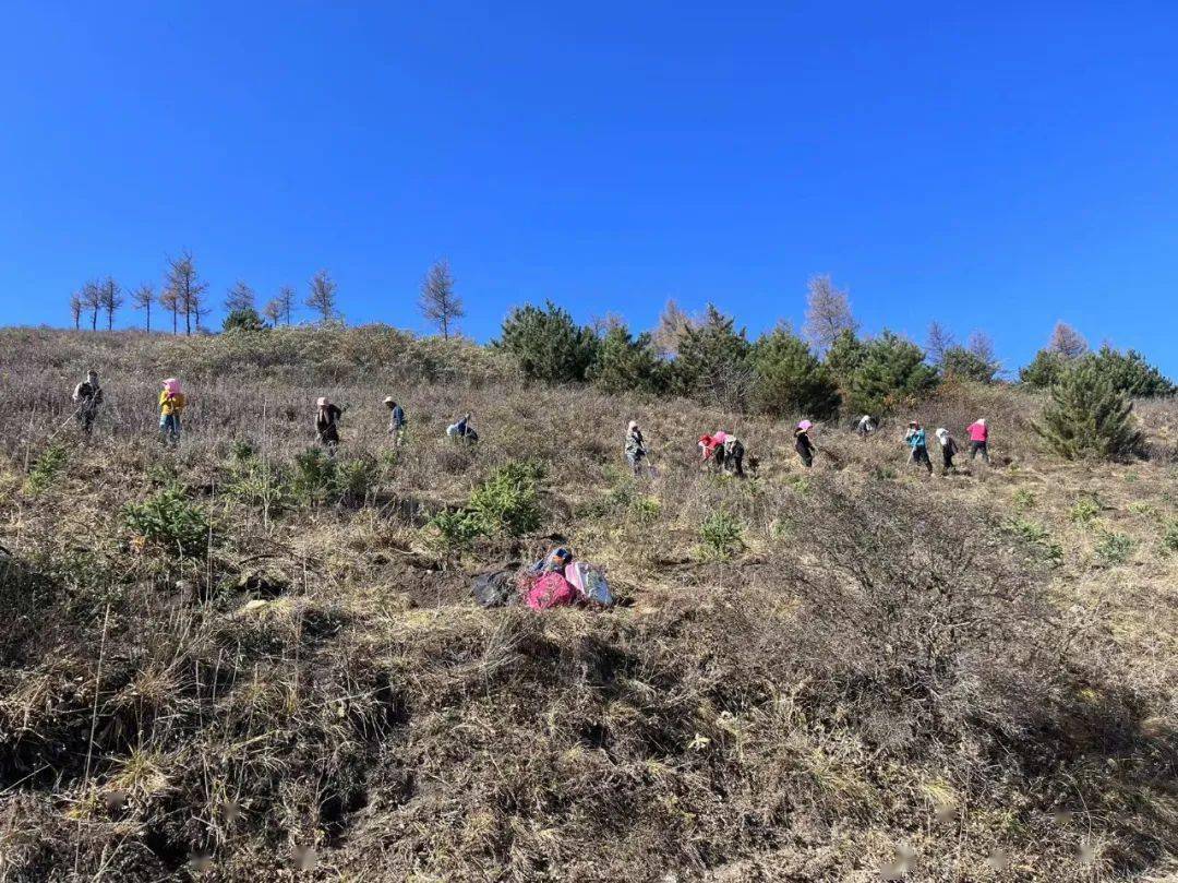 大同山林场绿色生态建设先锋项目启动