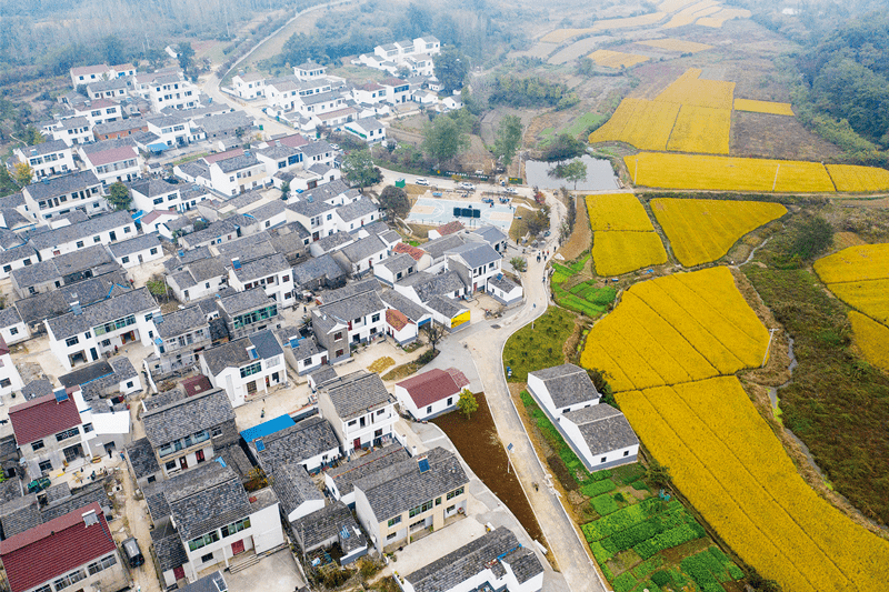 山西省晋中市寿阳县尹灵芝镇最新项目进展与前景展望