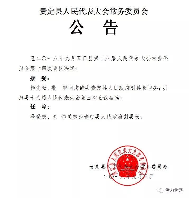 巧家县康复事业单位人事任命，引领康复事业新一轮发展动力