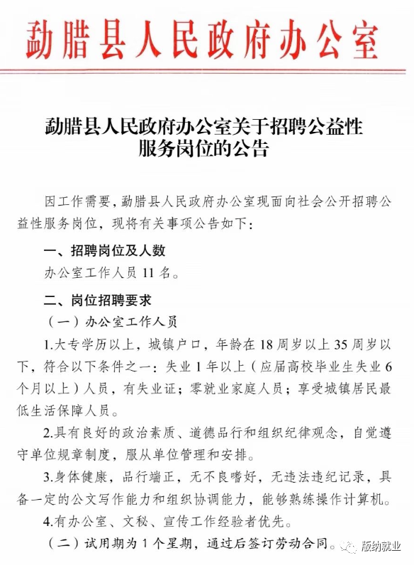 陇川县人民政府办公室招聘公告新鲜出炉！