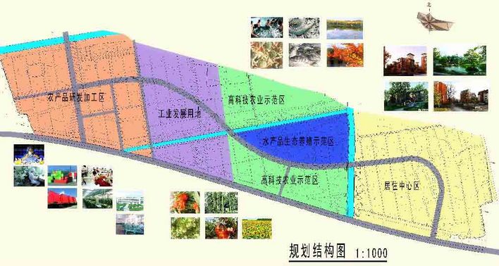 那梭农场最新发展规划