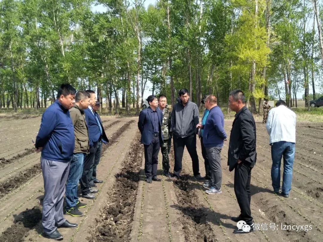 克山县第一良种场最新交通动态报道