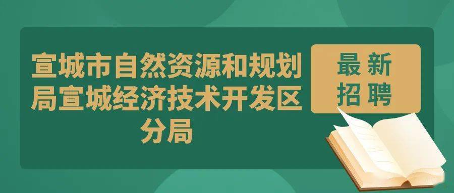 宝塔区自然资源和规划局最新招聘信息详解