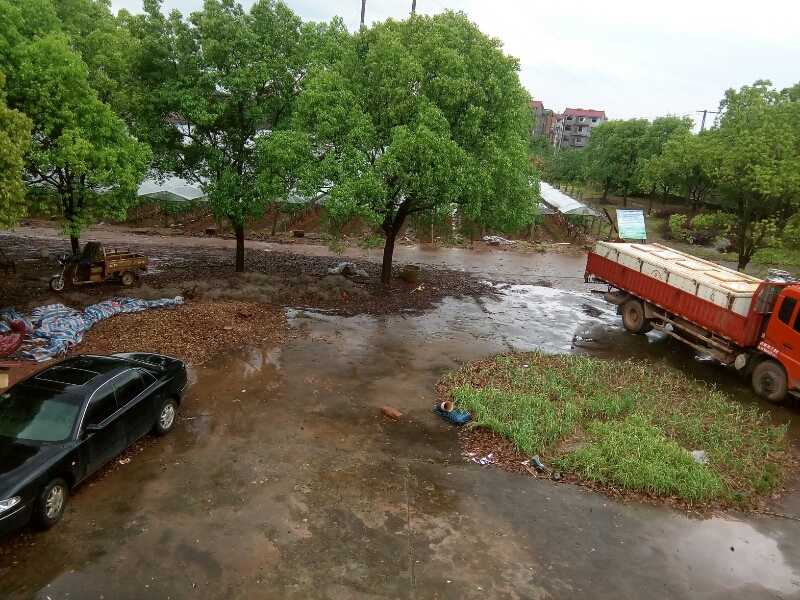 沼潭街道天气预报更新通知