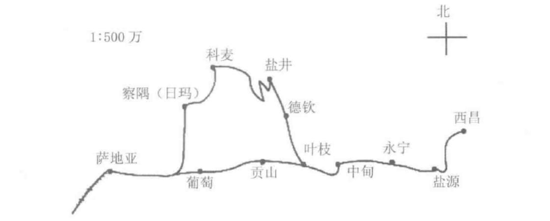 盐井镇未来繁荣新蓝图，最新发展规划揭秘