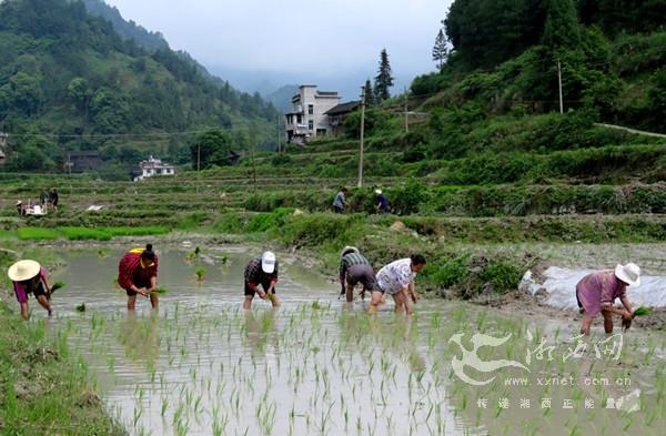 湘西土家族苗族自治州食品药品监管局最新项目进展及其区域影响分析