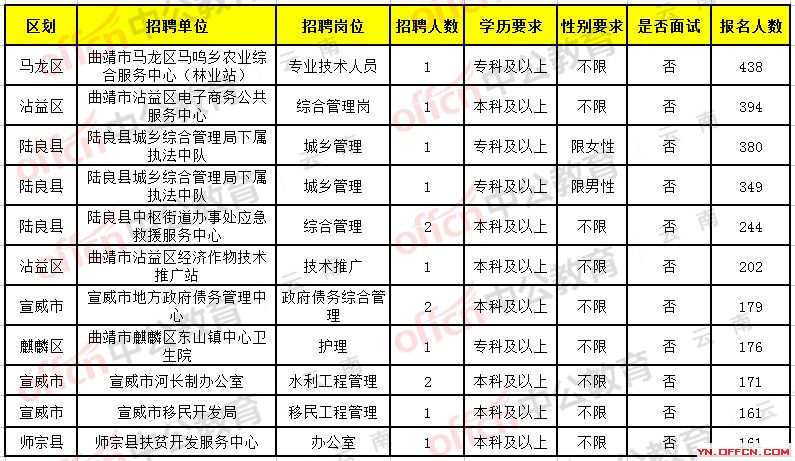 盈江县人民政府办公室最新招聘公告解析