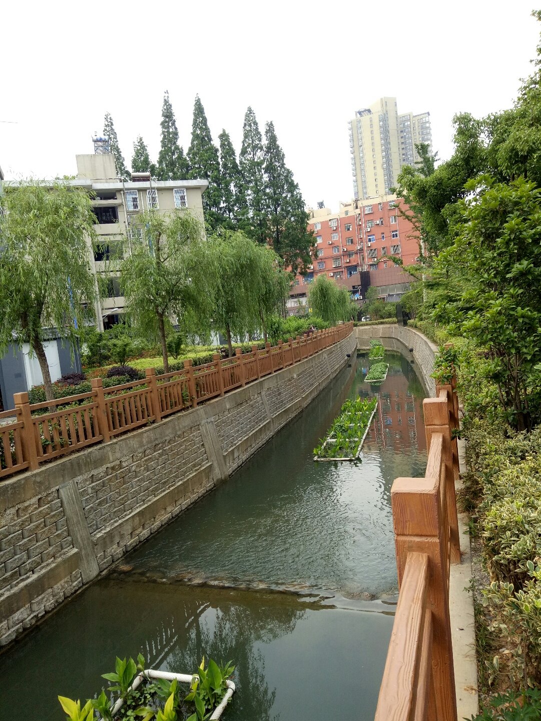 迈皋桥街道天气预报更新通知