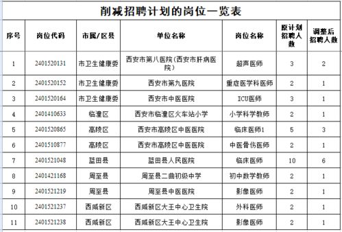 铁岭县级托养福利事业单位发展规划展望