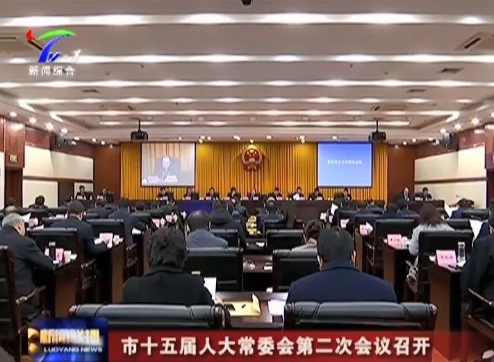 洛阳市邮政局人事任命动态解析