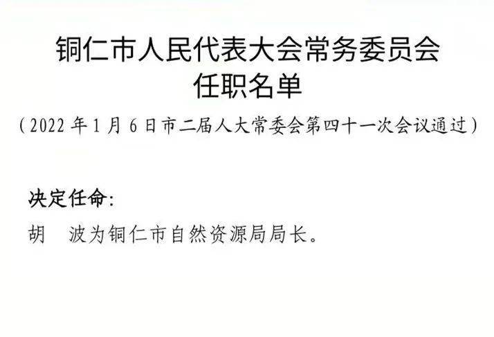 仁和区体育馆人事大调整，塑造未来体育新篇章