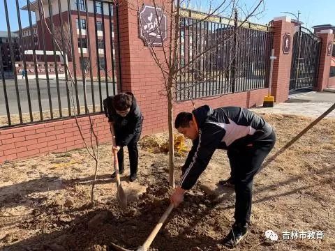 上甘岭区初中最新项目，重塑未来教育格局