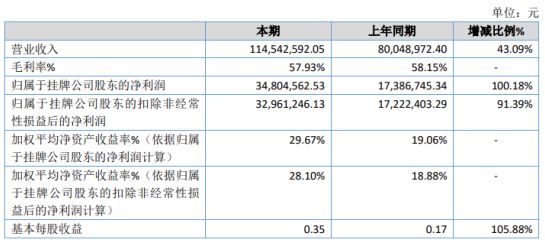 邵阳县数据和政务服务局最新项目进展报告概览