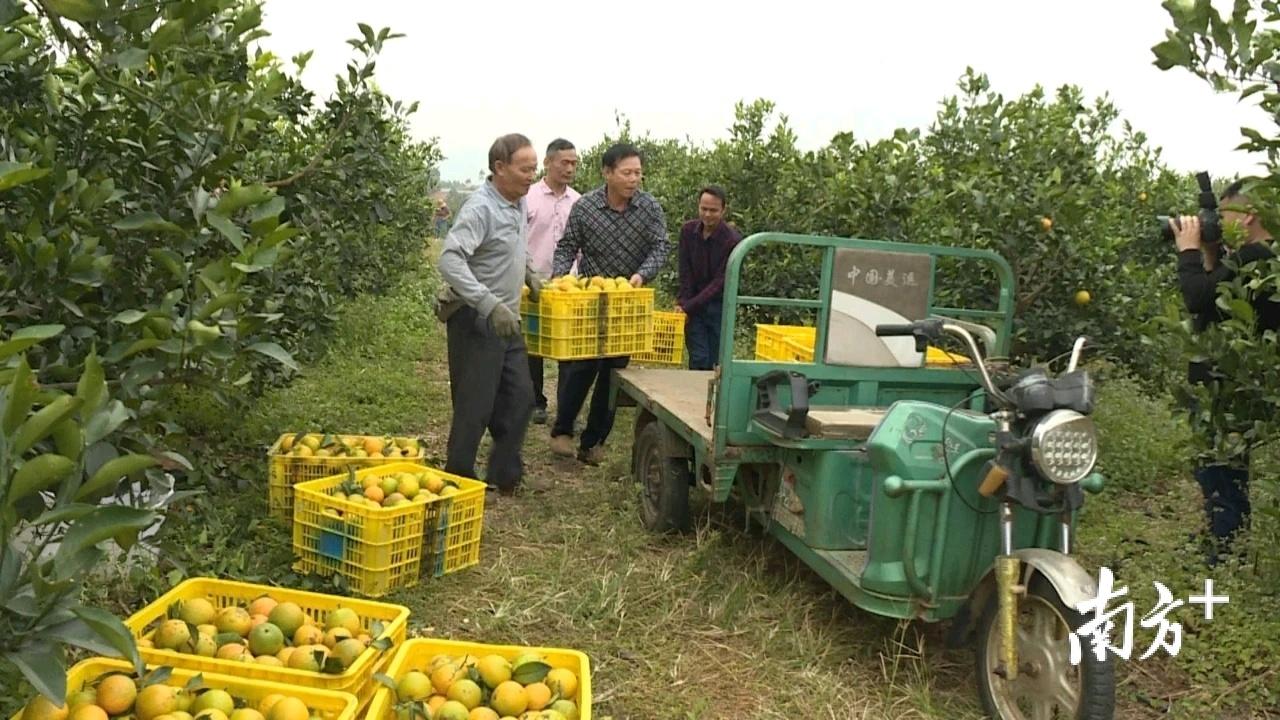 阳东林场最新招聘信息详解