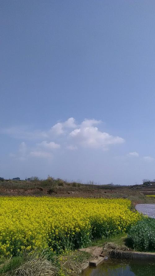 长皋乡天气预报更新通知