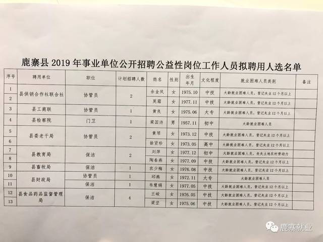 康镇最新招聘信息详解及探讨