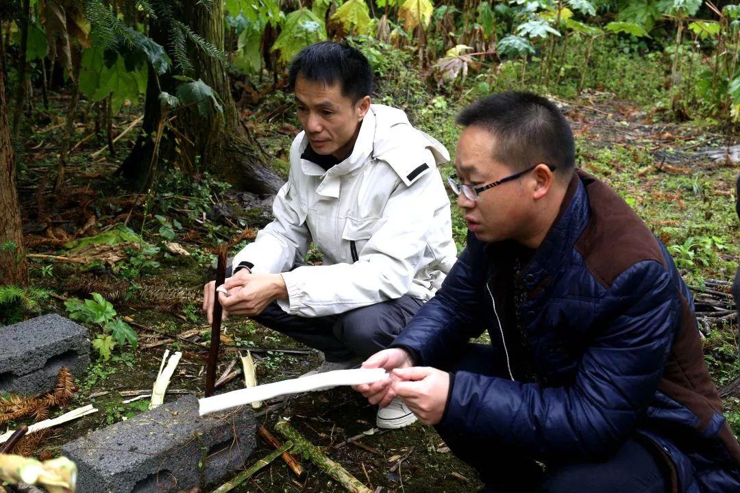 才朋村最新交通新闻，迈向现代化交通体系的步伐加快