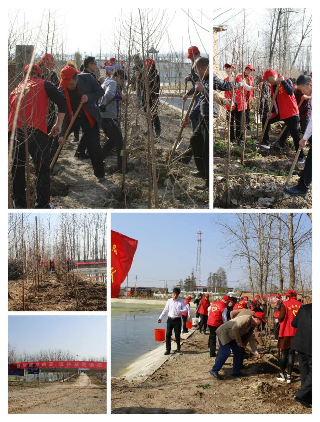 阳春市水利局推动水利建设助力地方经济腾飞新动态