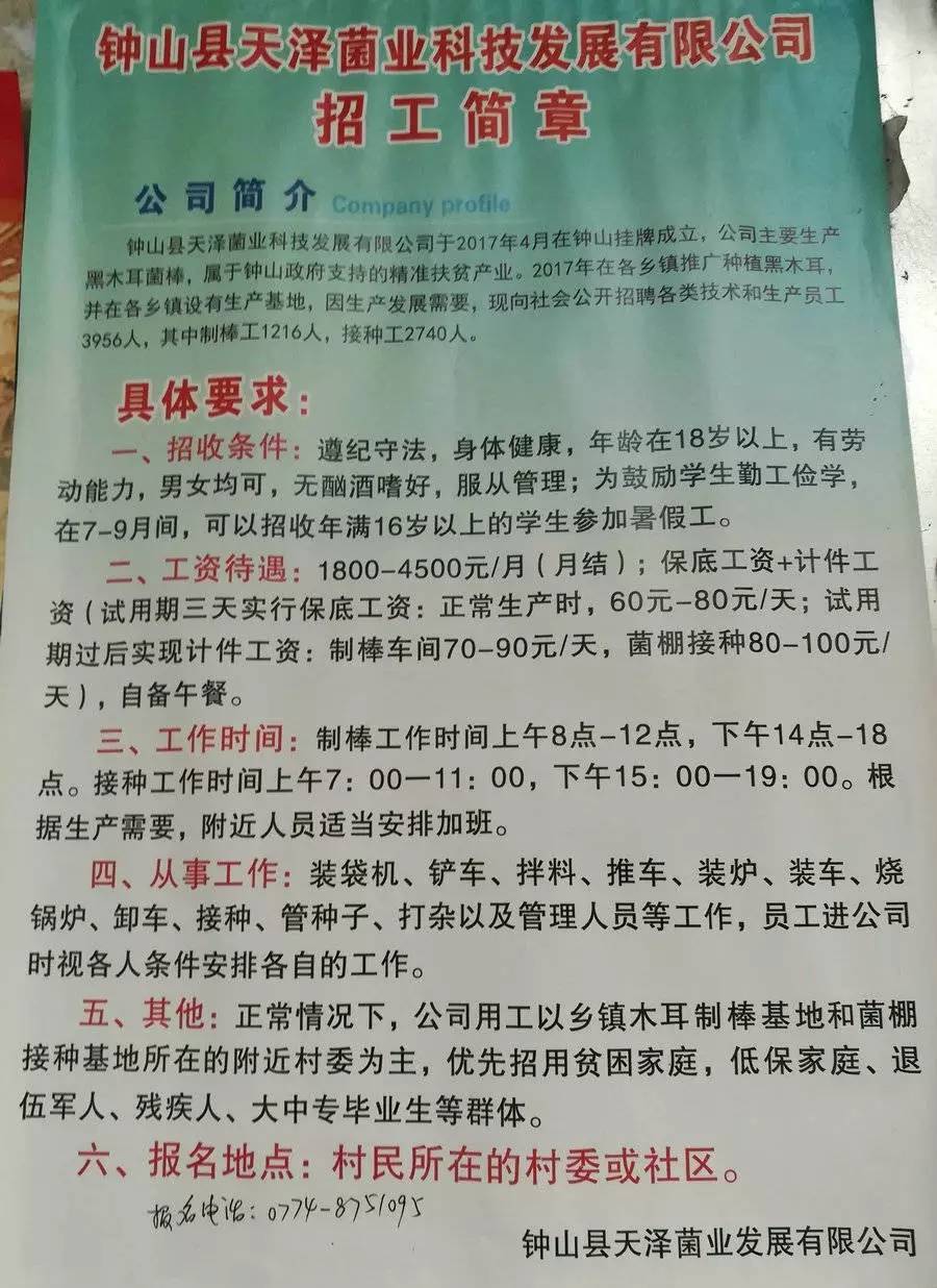 下角村最新招聘信息全面解析