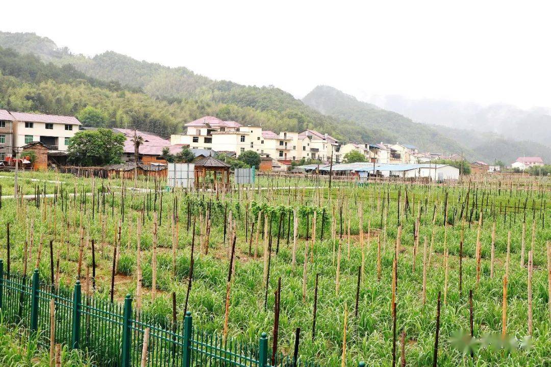 姜畲镇天气预报更新通知