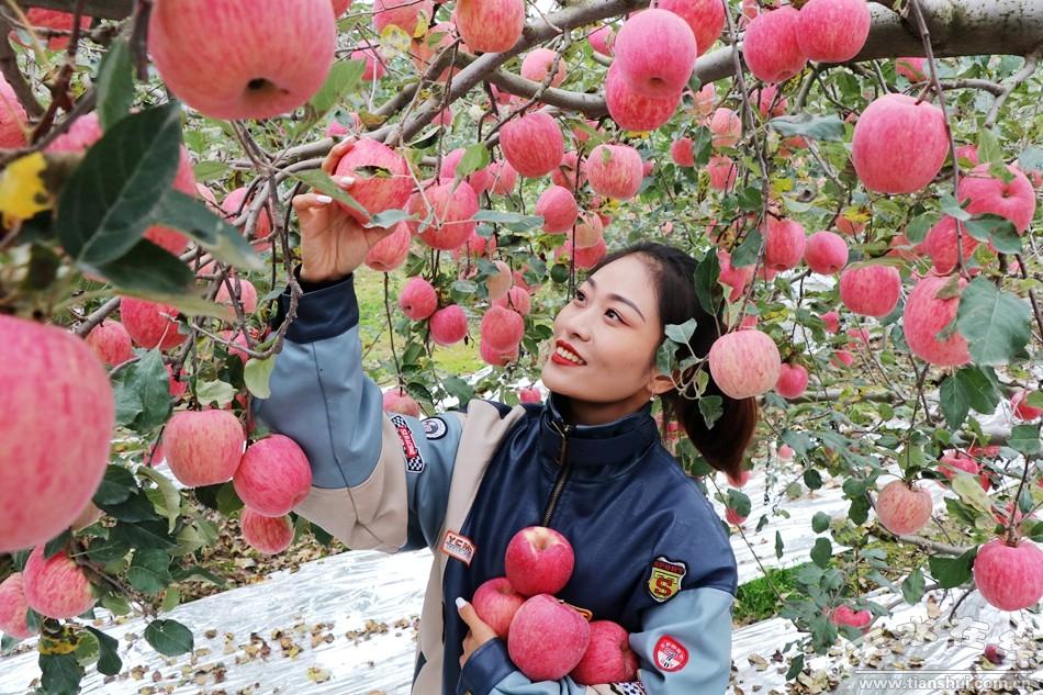 中梁村交通新里程碑，迈向现代化交通发展之路的新闻报道