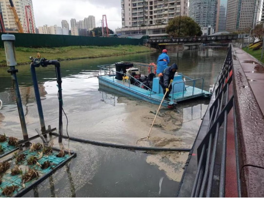 徐汇区水利局新项目推动区域水资源管理与生态建设协同进步