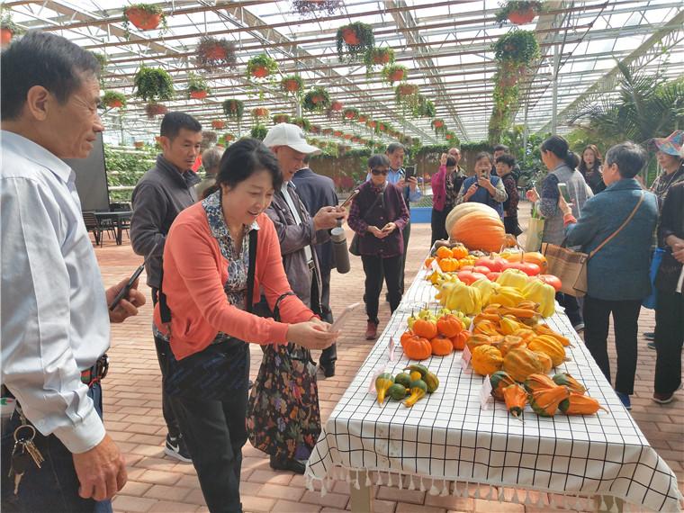 歙县自然资源和规划局新项目推动可持续发展与生态保护协同前行