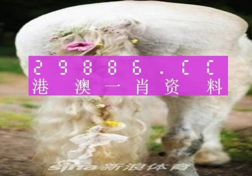 澳门一肖一码100准最准一肖_,准确资料解释落实_探索版68.448