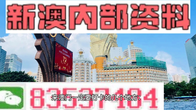 2024新澳门精准免费大全,综合数据解释定义_限量款73.463