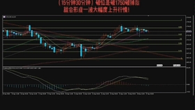 2024正版澳门跑狗图最新版今天,可靠性策略解析_kit62.873