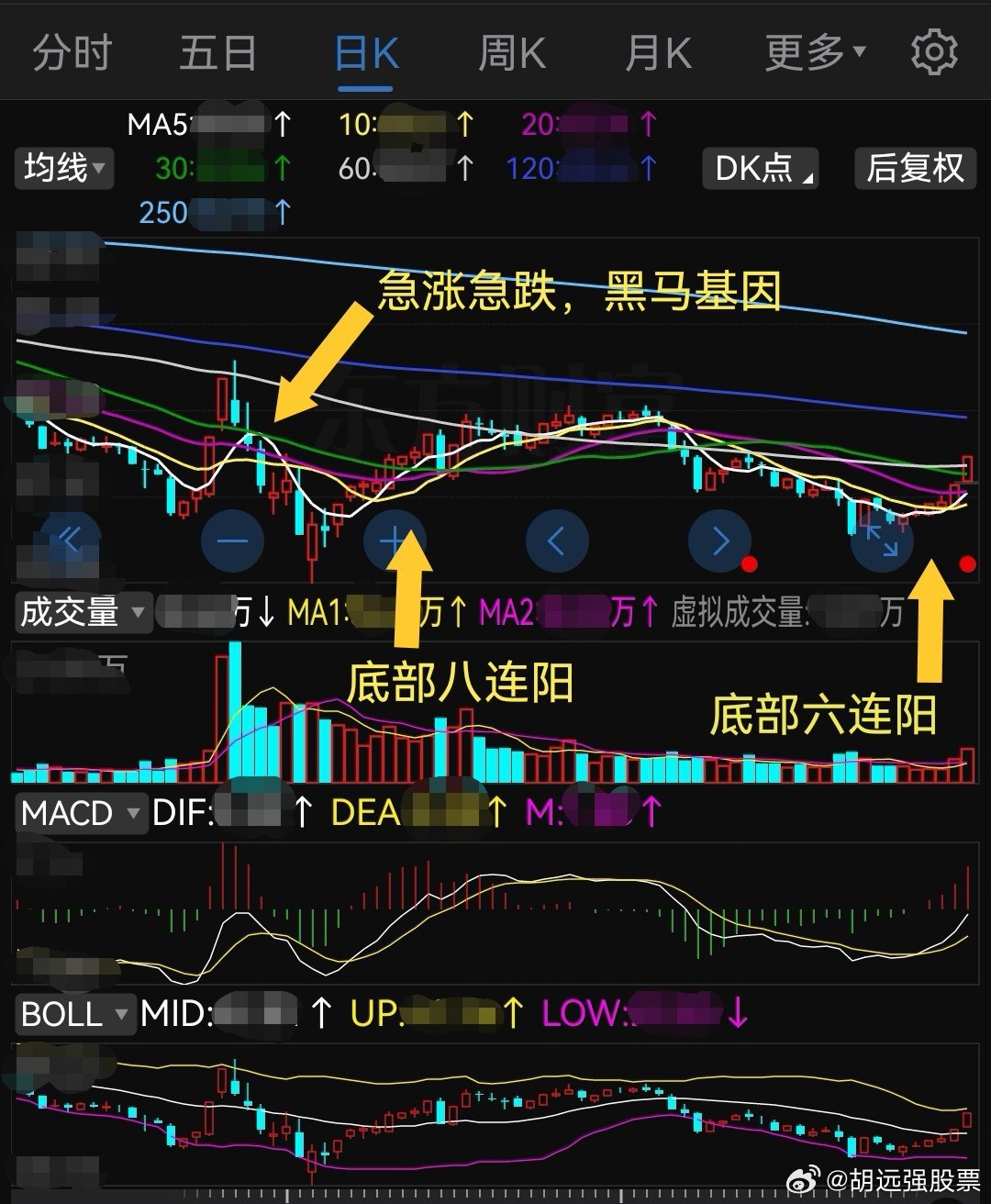 马会传真资料2024澳门,数据支持策略解析_投资版74.158