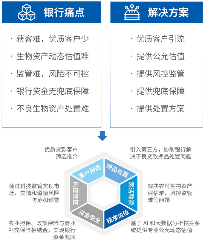 澳门管家婆100%精准,科技术语评估说明_开发版14.135