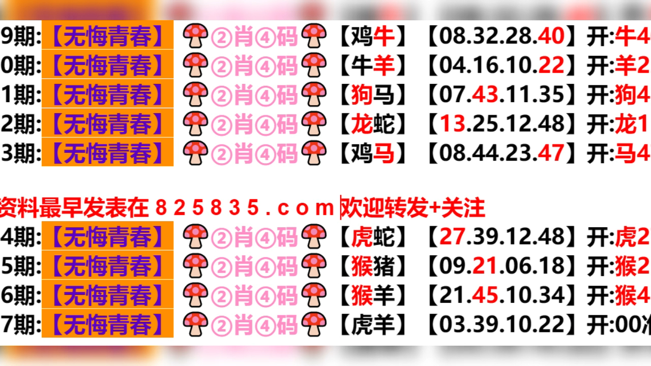 新奥门六开奖结果2024开奖记录,衡量解答解释落实_复刻版53.205