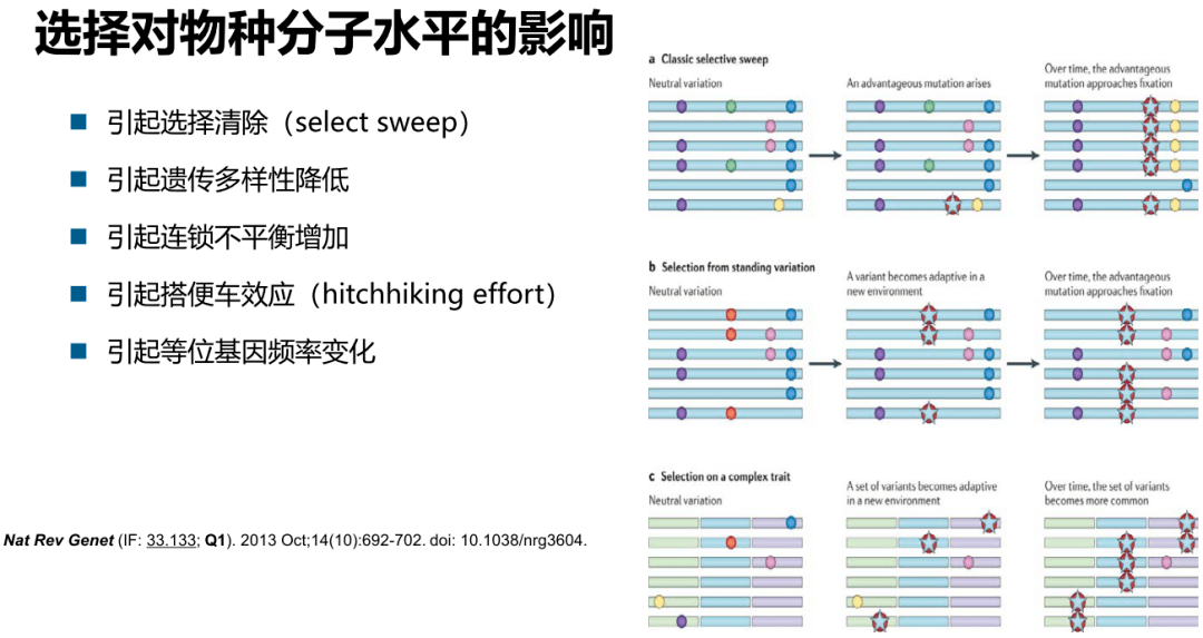 2024新奥历史开奖记录,灵活性策略设计_铂金版84.405